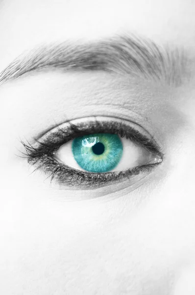 Niebieskie oczy, makijaż na białym tle — Zdjęcie stockowe