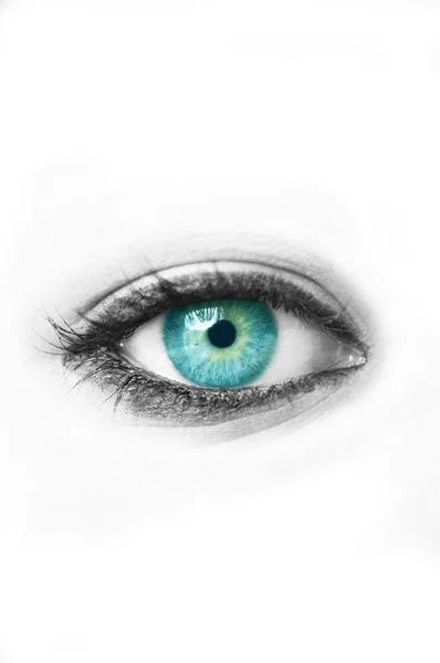 Голубой глаз изолирован от белого — стоковое фото