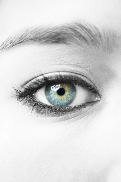 Olho azul close-up — Fotografia de Stock