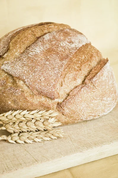 Friss kenyér és a búza — Stock Fotó