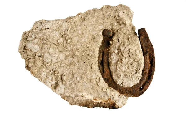 Paard shoer beroofd in steen — Stockfoto