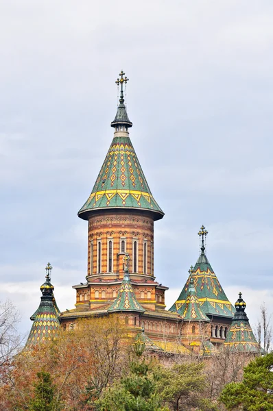 Kathedrale in der Stadt Timisoara - Rumänien — Stockfoto