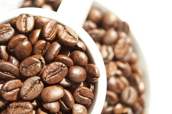 Kaffeetasse gefüllt mit Kaffeebohnen — Stockfoto