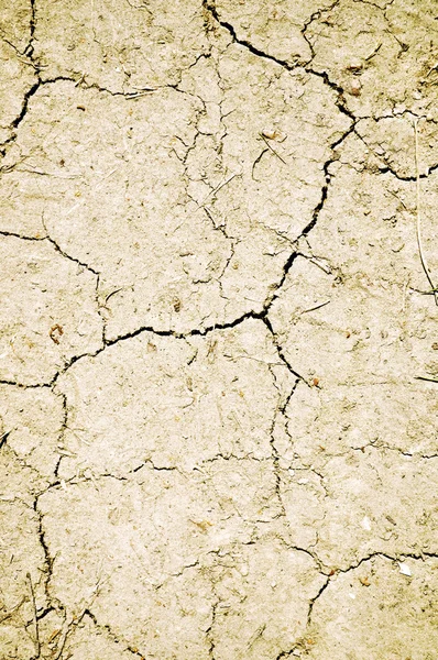 Terra di cracking secco — Foto Stock