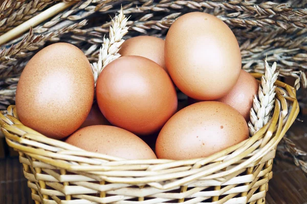 Fresh eggs in wicker basket — Stock Photo, Image