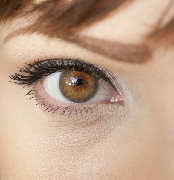 Hermosa forma de ojo femenino con maquillaje cosmético negro-marrón —  Fotos de Stock