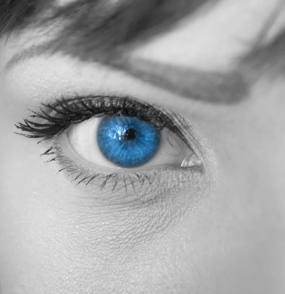 Vrouw blauw oog macro — Stockfoto