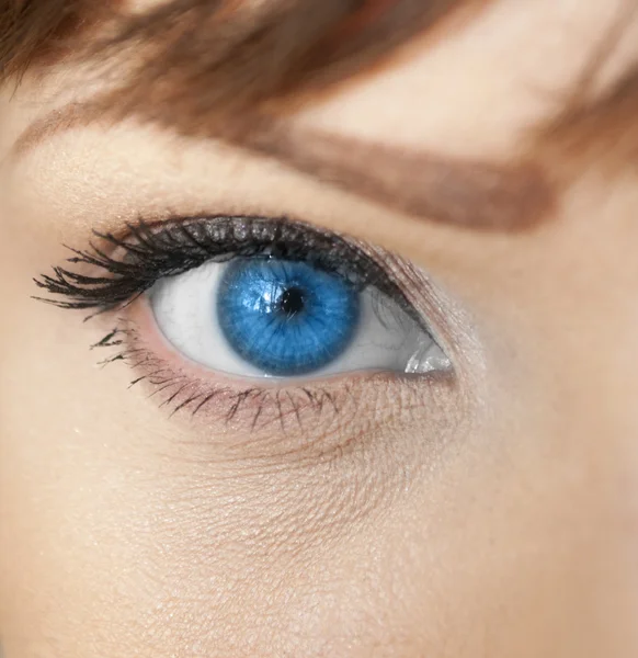 Gyönyörű alakú női szem fekete-barna kozmetikai smink — Stock Fotó