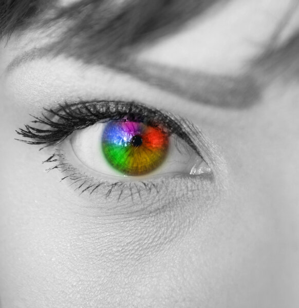 Multicolored eye macro shot