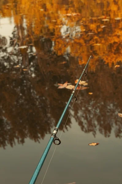 湖の釣り竿 — ストック写真