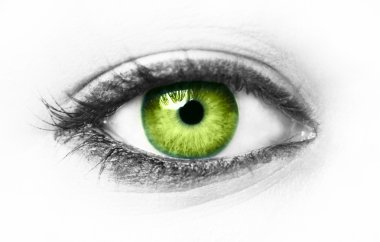 yeşil göz izole