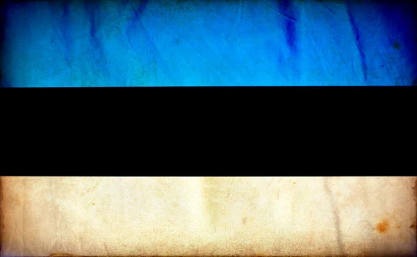 爱沙尼亚 grunge 旗 — 图库照片