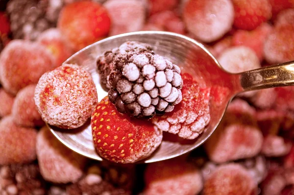 Frutta congelata — Foto Stock