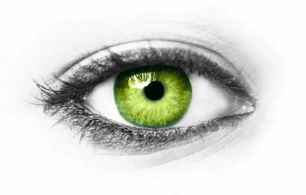 分離された緑の目 — ストック写真