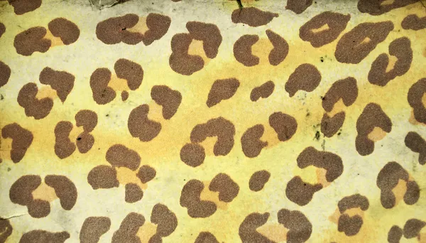 Retro-Leopardenmuster — Stockfoto