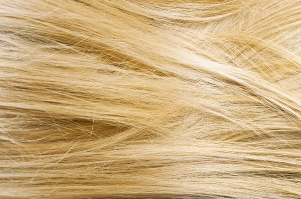 Texture dei capelli delle donne bionde — Foto Stock