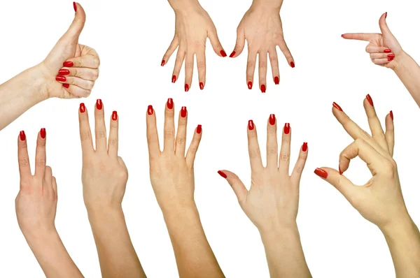 Raccolta di gesti delle mani isolati su sfondo bianco — Foto Stock