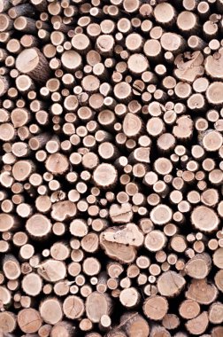 Wood log background clipart