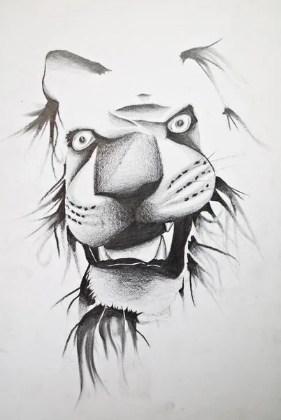 Эскиз Льва — стоковое фото