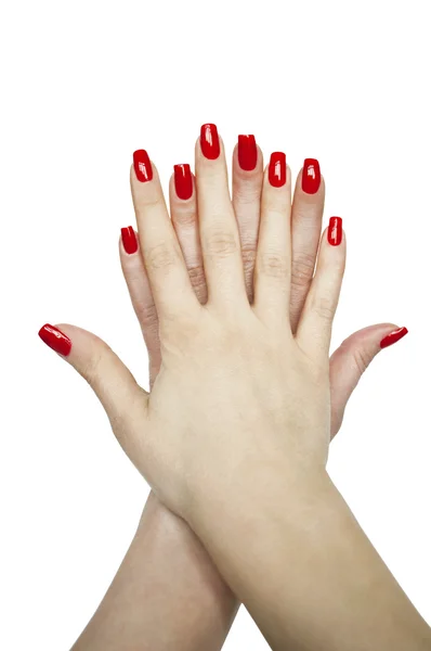 Manicure mani donna isolato su sfondo bianco — Foto Stock