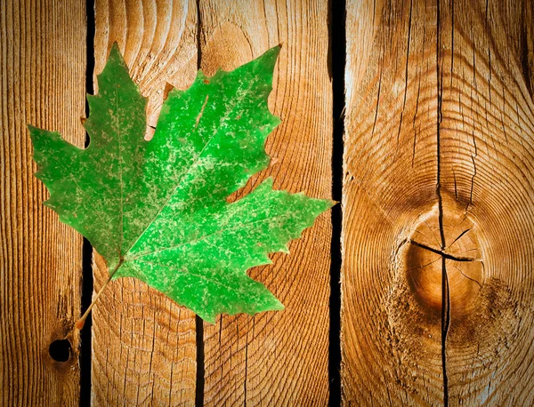 Feuille d'érable verte sur fond en bois — Photo