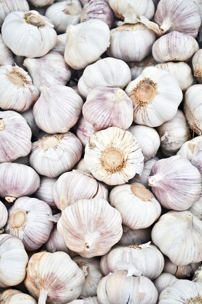 Onion background — Stock Photo, Image