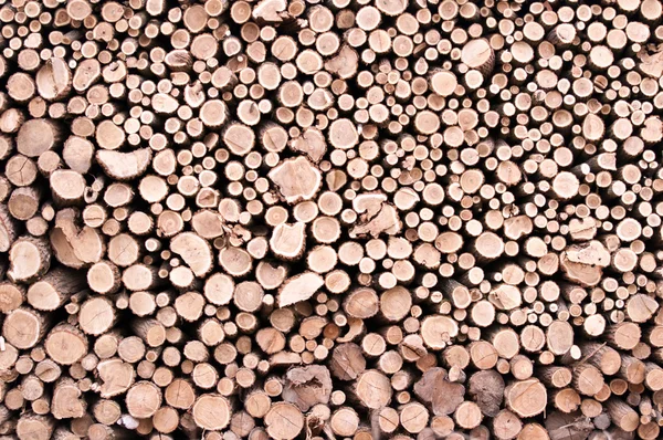 stock image Stacked wood logs background