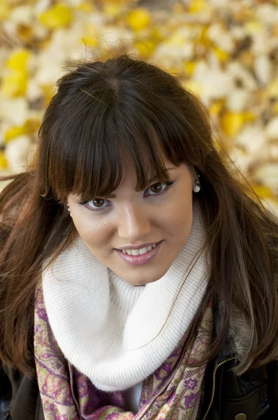 Szabadban, ősszel a gyönyörű fiatal nő portréja — Stock Fotó