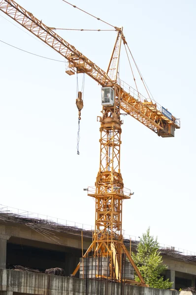Yellow crane isolated on white background — Stock Photo, Image