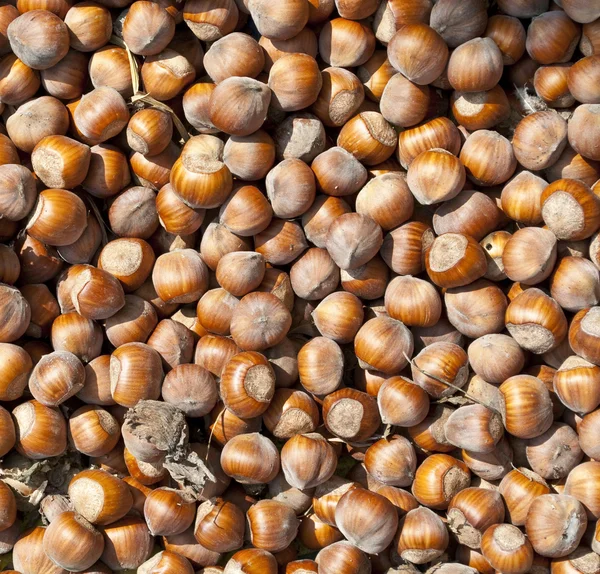 Nuts Background — Stock Photo, Image