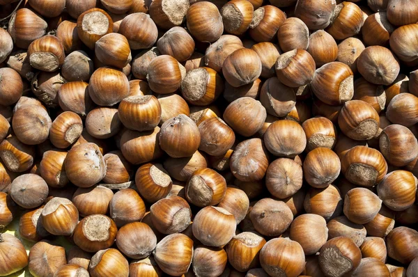 Hazelnuts texture — Stock Photo, Image