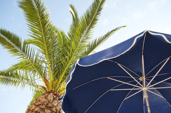 Парасолька і пальмових дерев проти тропічних блакитне небо — стокове фото