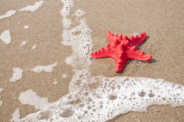 Röd sjöstjärna och havet vinkar på tropisk sandstrand — Stockfoto