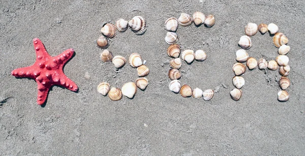 Palavra "MAR" feito com conchas do mar e estrela do mar — Fotografia de Stock