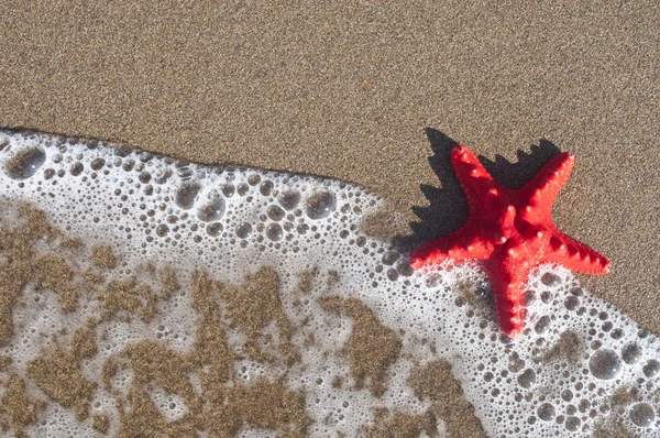 Starfish and waves background — Stock Photo, Image