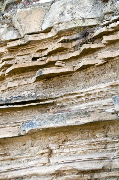 Konsistens av förhistoriska alluviala lager stelnat i sandsto — Stockfoto