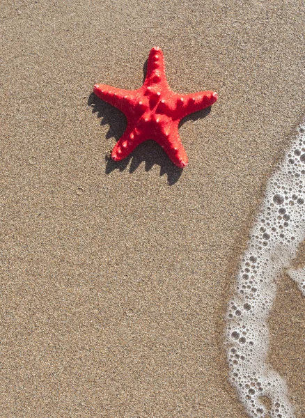 Starfish e onda na praia de areia - Conceito de verão — Fotografia de Stock