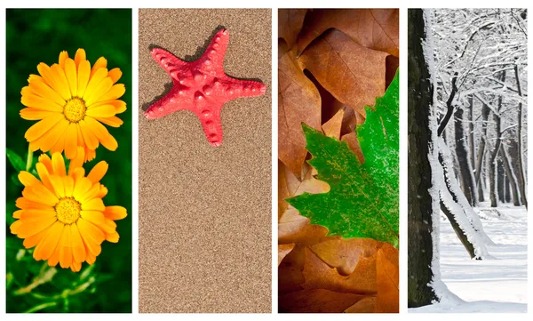 Four seasons collage — Stock Photo, Image
