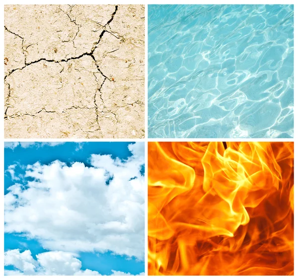 Four nature elements collage — Stock Photo, Image