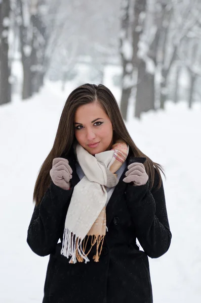 Hermoso retrato de mujer invierno — Foto de Stock