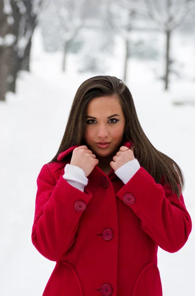 Mooie vrouw in rode jas in de winter — Stockfoto