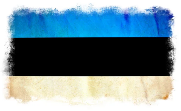 Estonia bandiera grunge — Foto Stock