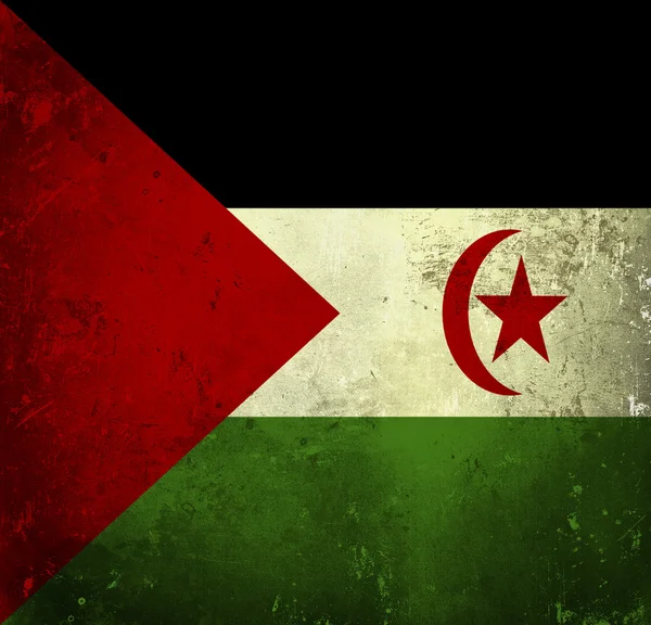 Grunge vlag van de westelijke sahara — Stockfoto