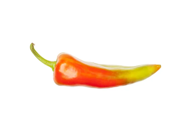 Paprika isolado em branco — Fotografia de Stock