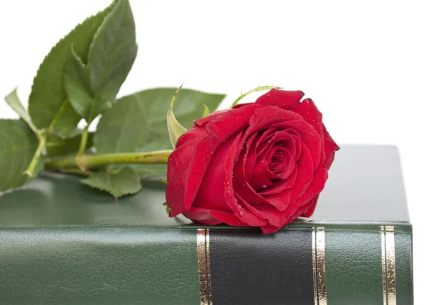 Schöne rote Rose auf dem Buch isoliert — Stockfoto