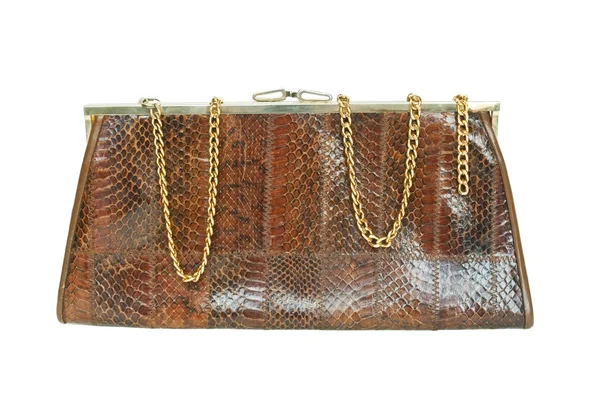 Snake leather woman handbag — Stock Photo, Image