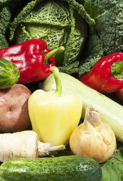 Sortiment an frischem Gemüse zum Anfassen — Stockfoto