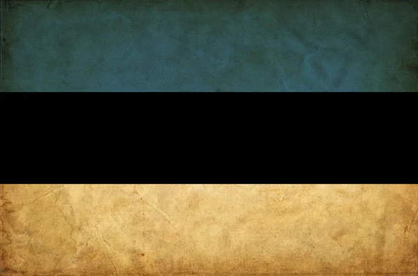 Estland grunge vlag — Stockfoto