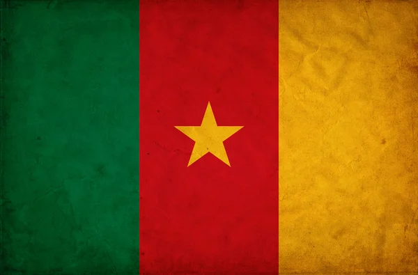 Cameroon grunge flag — Stock Photo, Image