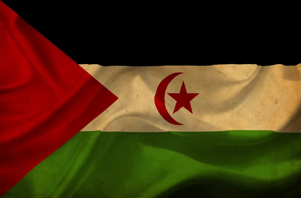 Macha flagą Sahary Zachodniej — Zdjęcie stockowe